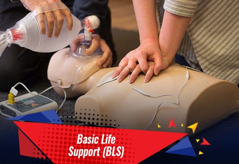 AHA BLS & CPR